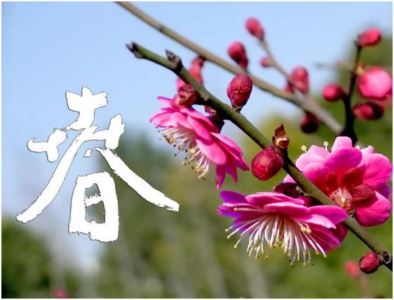 洛阳老年公寓分享老年人春季护理的注意事项